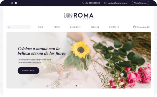 portafolio de softem diseño de páginas web