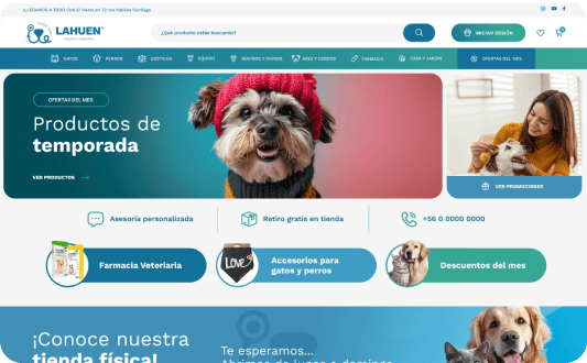 portafolio de softem diseño de páginas web