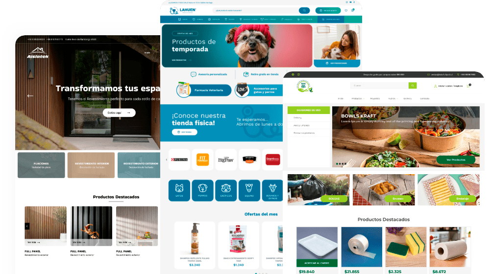 portafolio de softem diseño de páginas web en Concepción